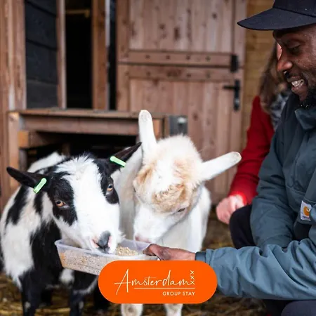 בית נופש Amsterdam Cottage 8 Beds 2 Bedrooms